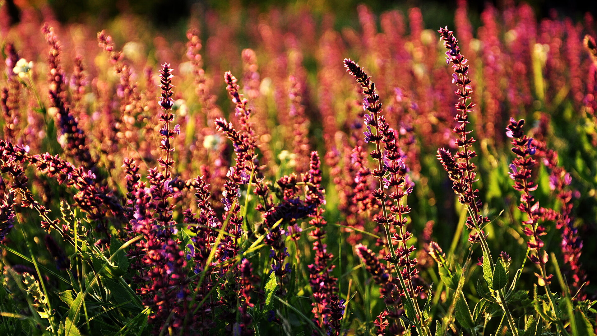 KAIYUN 中国大陆-场上花絮：幕后不为人知的小趣事，片场花絮