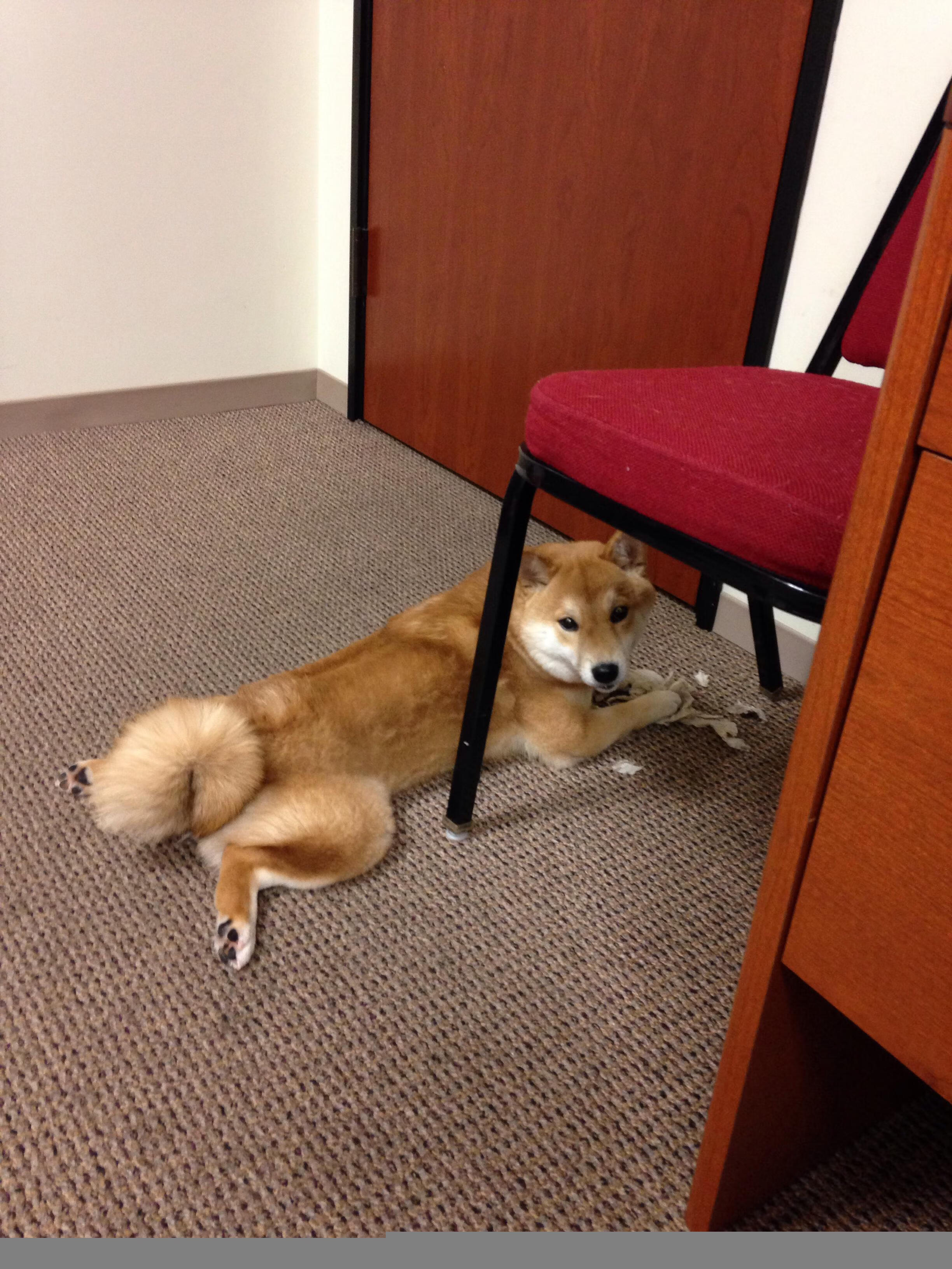 开云平台-散热技术革新：引擎性能大幅提升，散热器黑科技