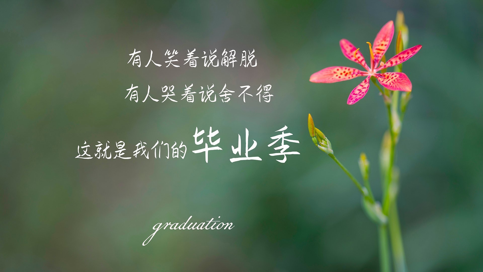 极限单车攀爬赛:城市障碍的智慧突破,极限自行车比赛视频