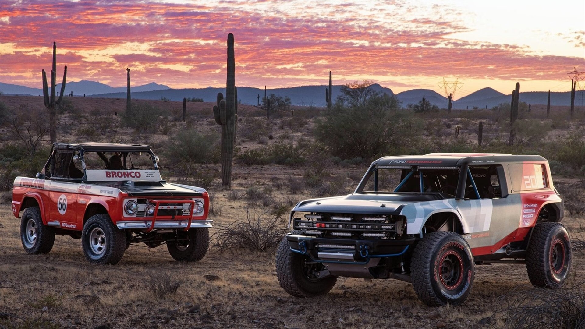 球迷文化大融合,现场氛围热烈,球迷文化的见解