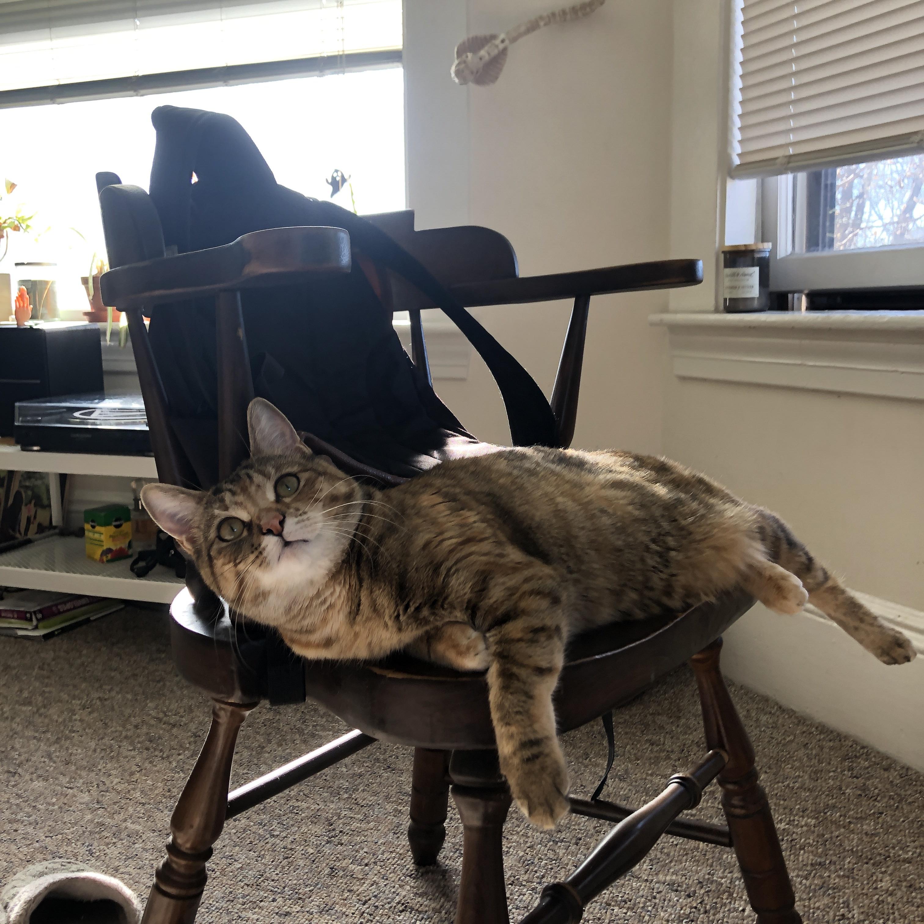 篮网全场统治！，篮网引起众怒