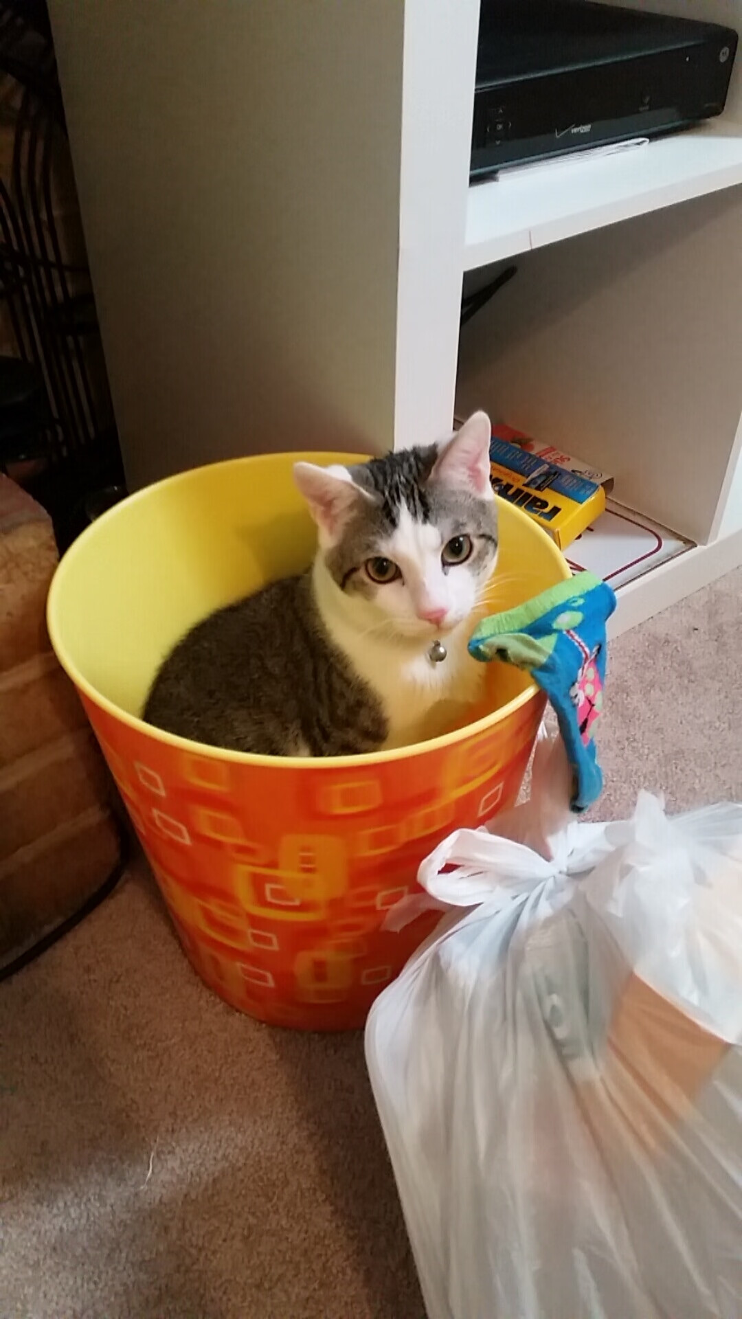 青少年“篮球+舞蹈”跨界演出在广州引起广泛反响,展现青春多元魅力