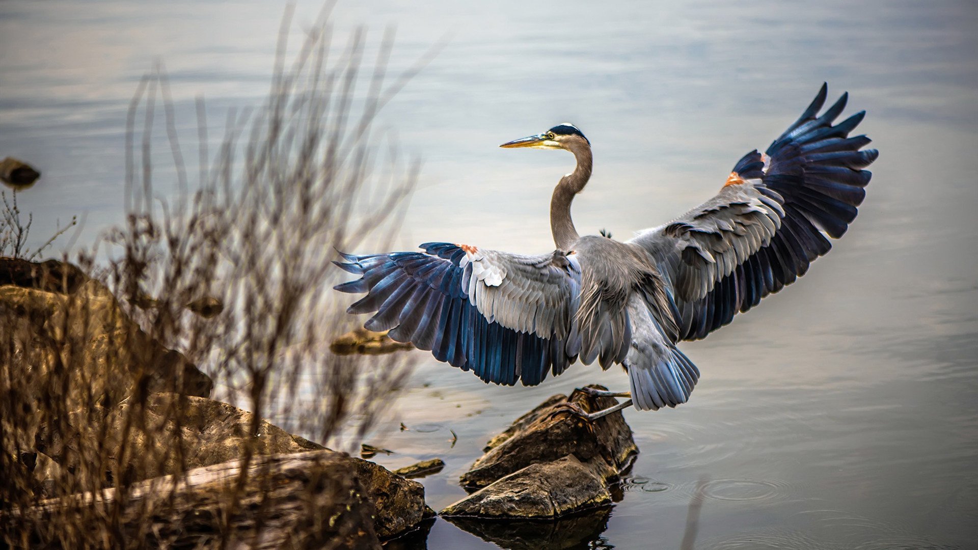 开云中国大陆-乌拉圭0-4不敌巴拉圭，世界杯预选赛遭遇首场失利，2030世界杯乌拉圭