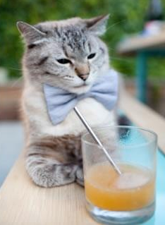 kaiyun中国官方网站-厄瓜多尔新星转战欧预赛 雷霆手掌磨拳打出天下，厄瓜多尔足球联赛官网