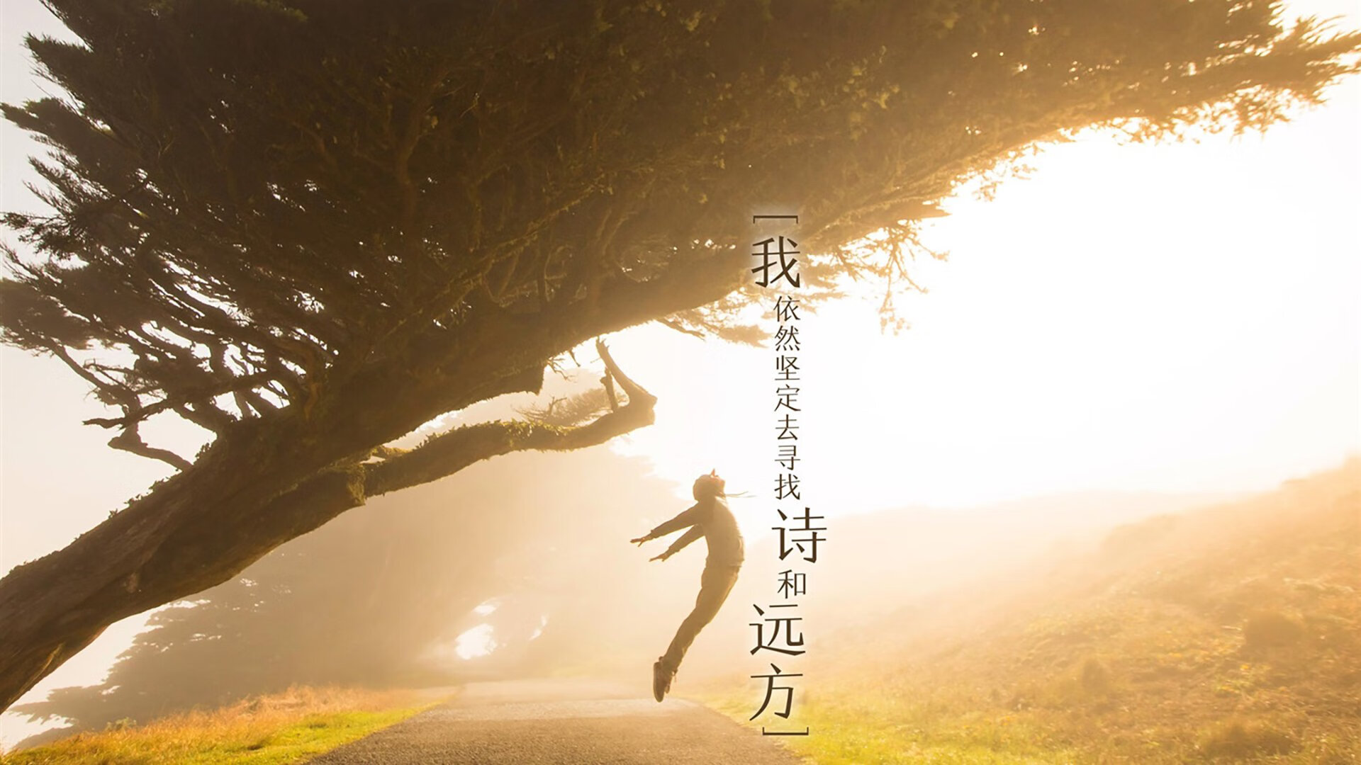 开云官方网站-塞尔维亚女足战绩不佳，小组垫底淘汰，塞尔维亚 男足