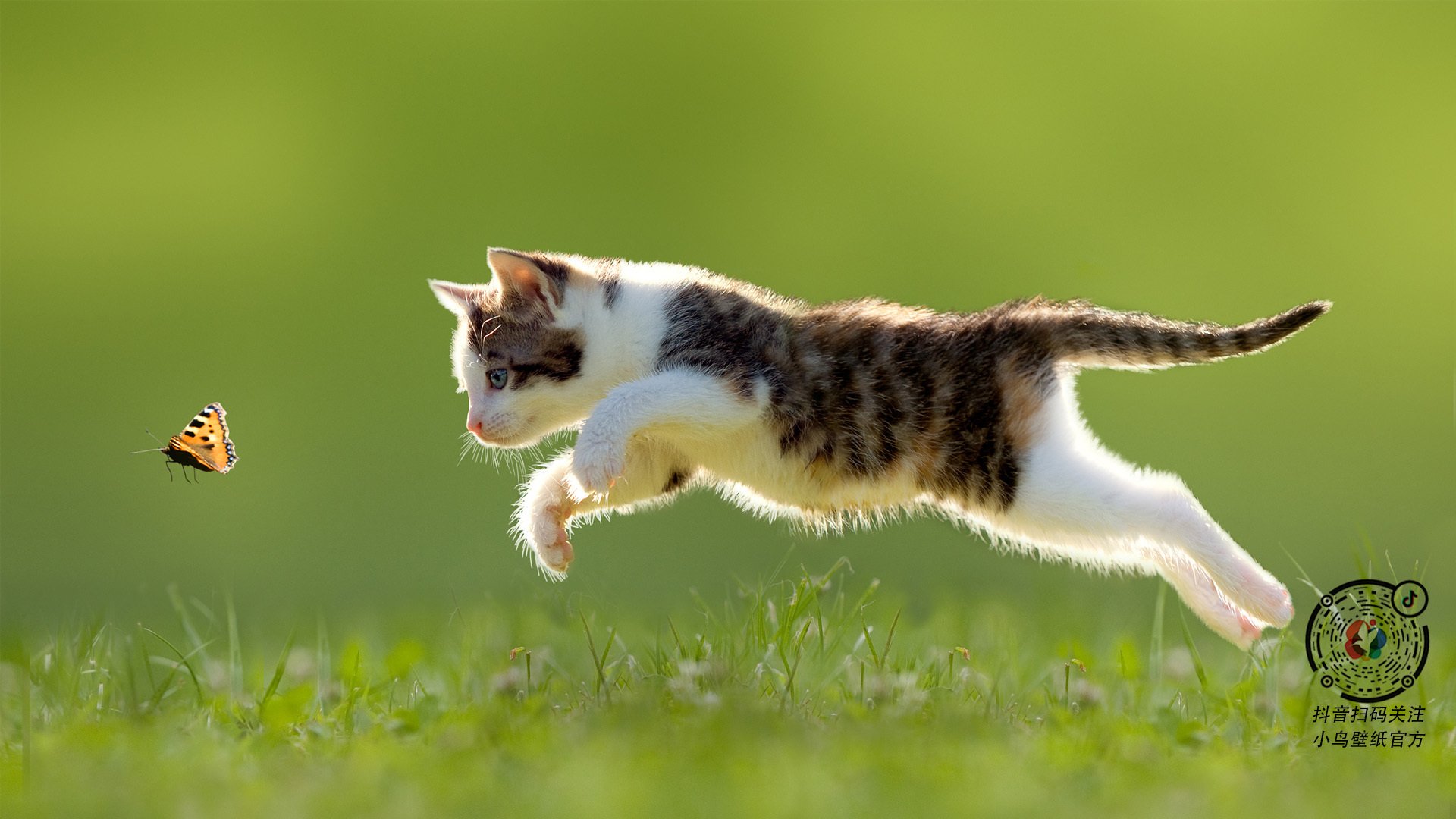 开云kaiyun-尼日利亚国家队备战非洲杯，尼日利亚非锦赛阵容