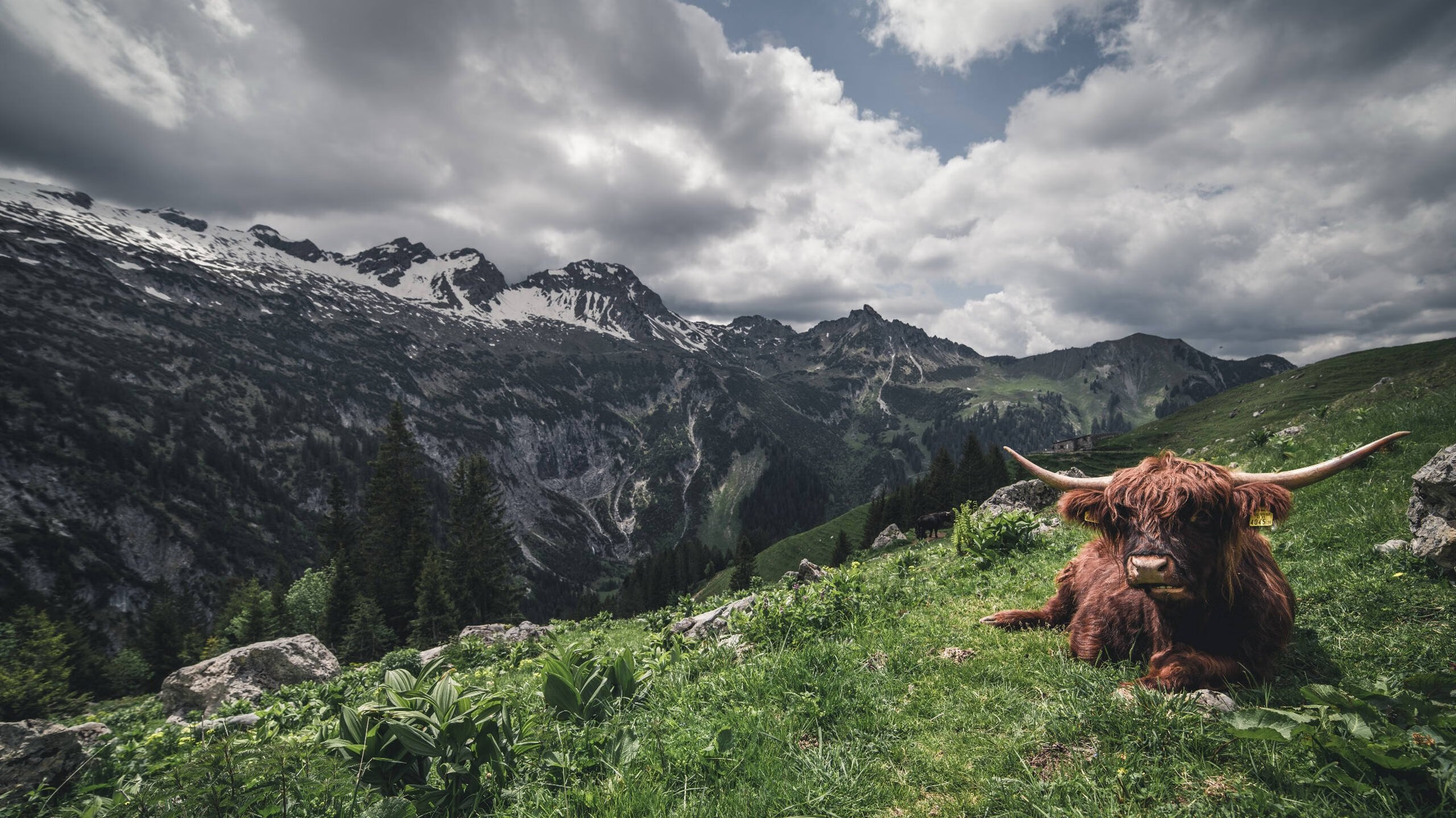 摩纳哥中场球员展现出色,或将对比赛产生重要影响,摩纳哥出品的球星