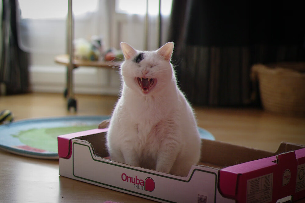 曼联防线全面崩溃,紧急调整战术,曼联进攻战术