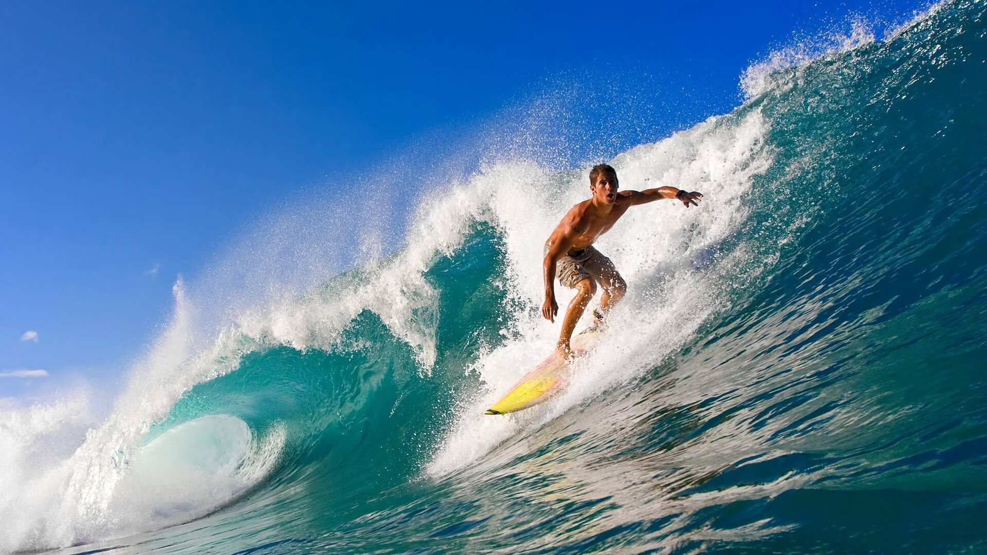 桑普多利亚战平获胜,积分稳步提升