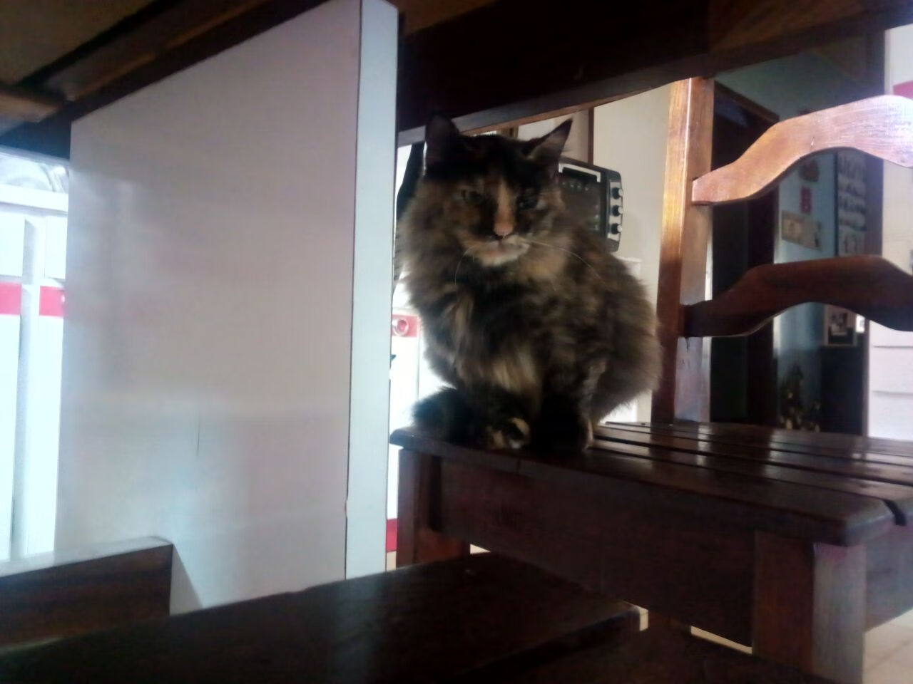 KAIYUN 中国大陆-澳大利亚联赛关键球员表现稳定，澳大利亚联赛足球