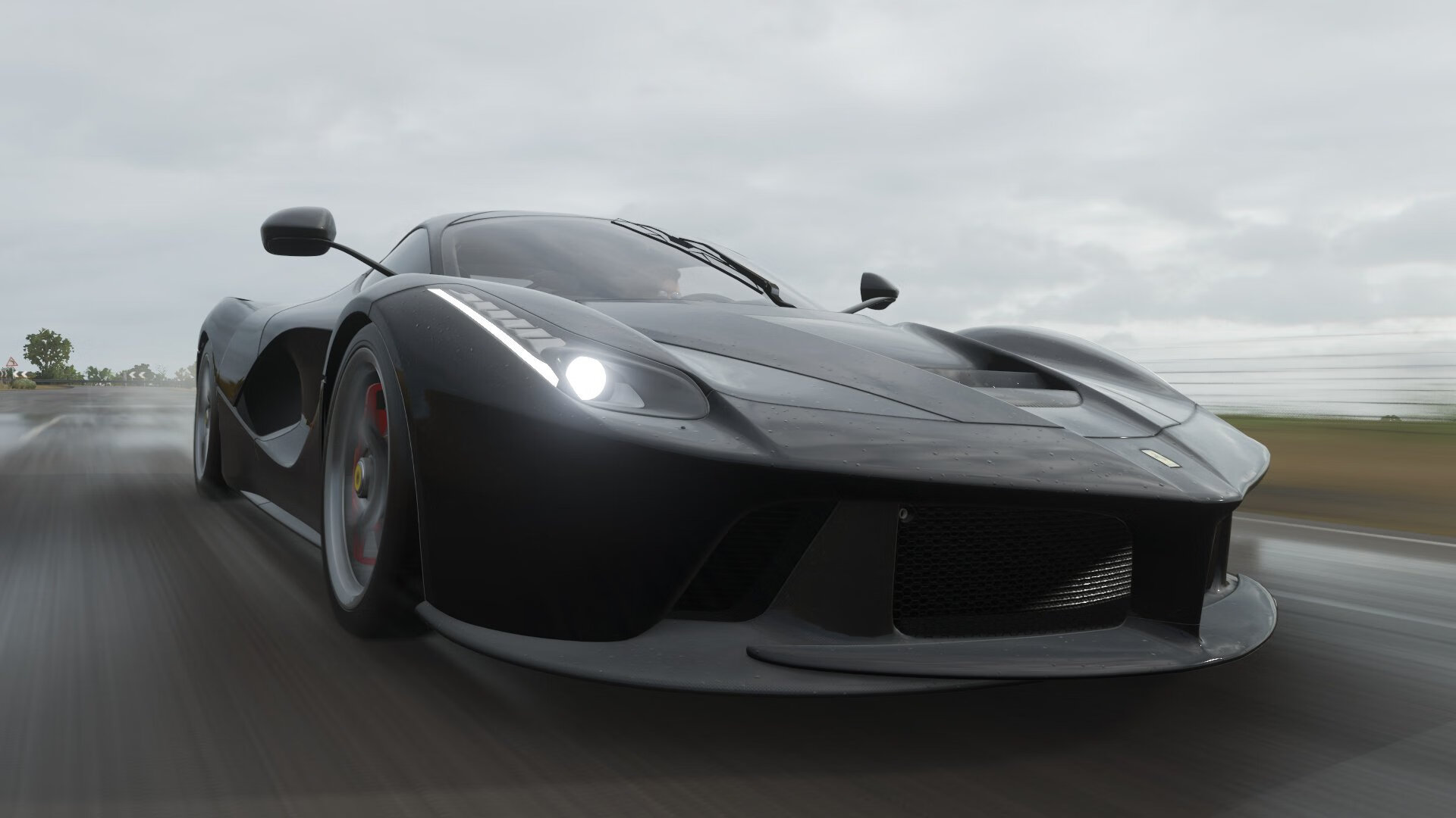 KAIYUN 中国大陆-福建鲟龙球队凝聚力逐渐加强，福建龙鳇鲟业有限公司