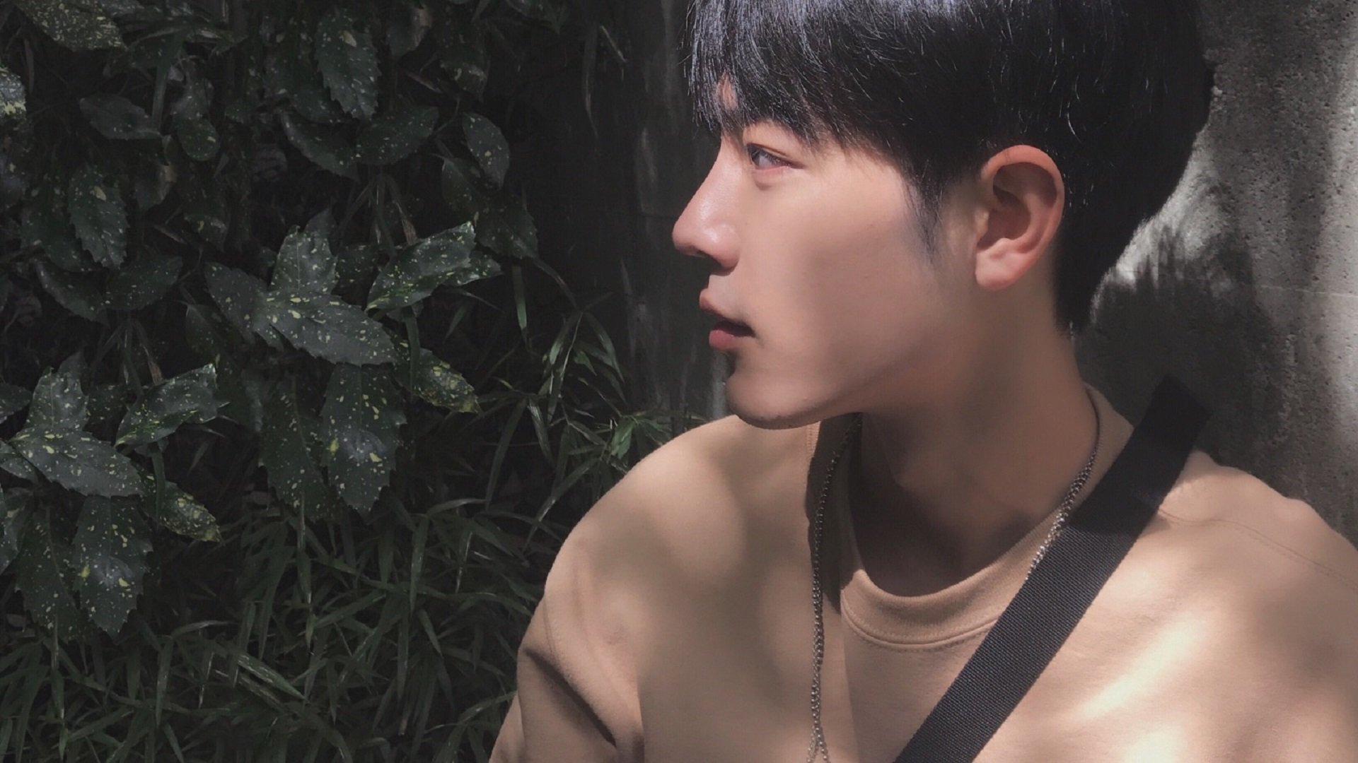 Kaiyun(中国)开云-联盟是否应设立球员母校回访计划