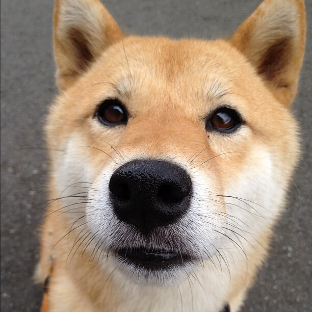 莱比锡红牛主场失利,积分榜排名下滑,莱比锡红牛昨天比赛