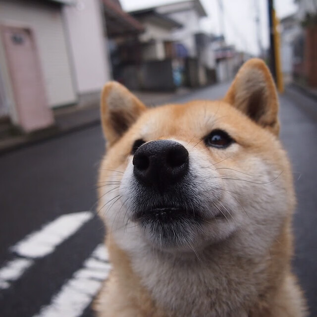 中国篮球运动员抢断技术训练方法探讨,篮球抢断规则犯规