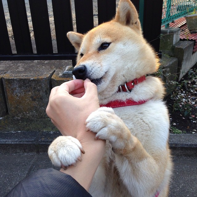 篮球专项体能训练中的恢复策略研究,篮球专项体能训练方案