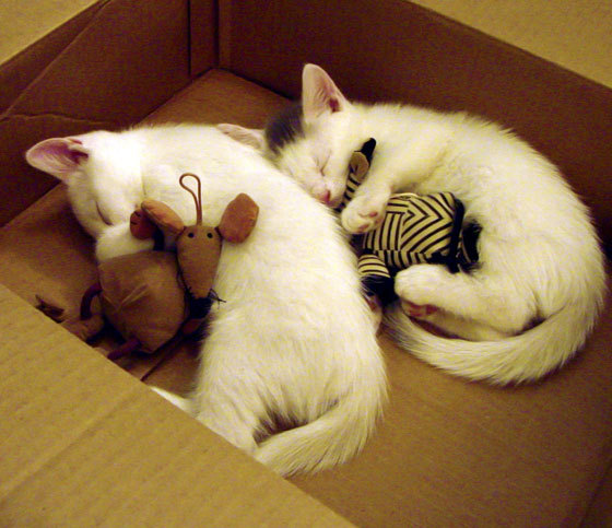 开云官方-世界杯预选赛中国足球爆冷 技术复盘引热议，世界杯足球2022预选赛中国