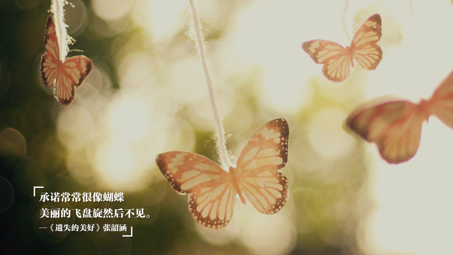 奥运村人性化空间设计获得国际设计奖项,奥运村布局