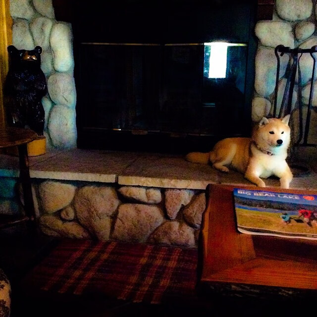 开云中国-“马科斯·梅特罗的战术洞察力，为阿根廷美洲狮队开辟新天地”