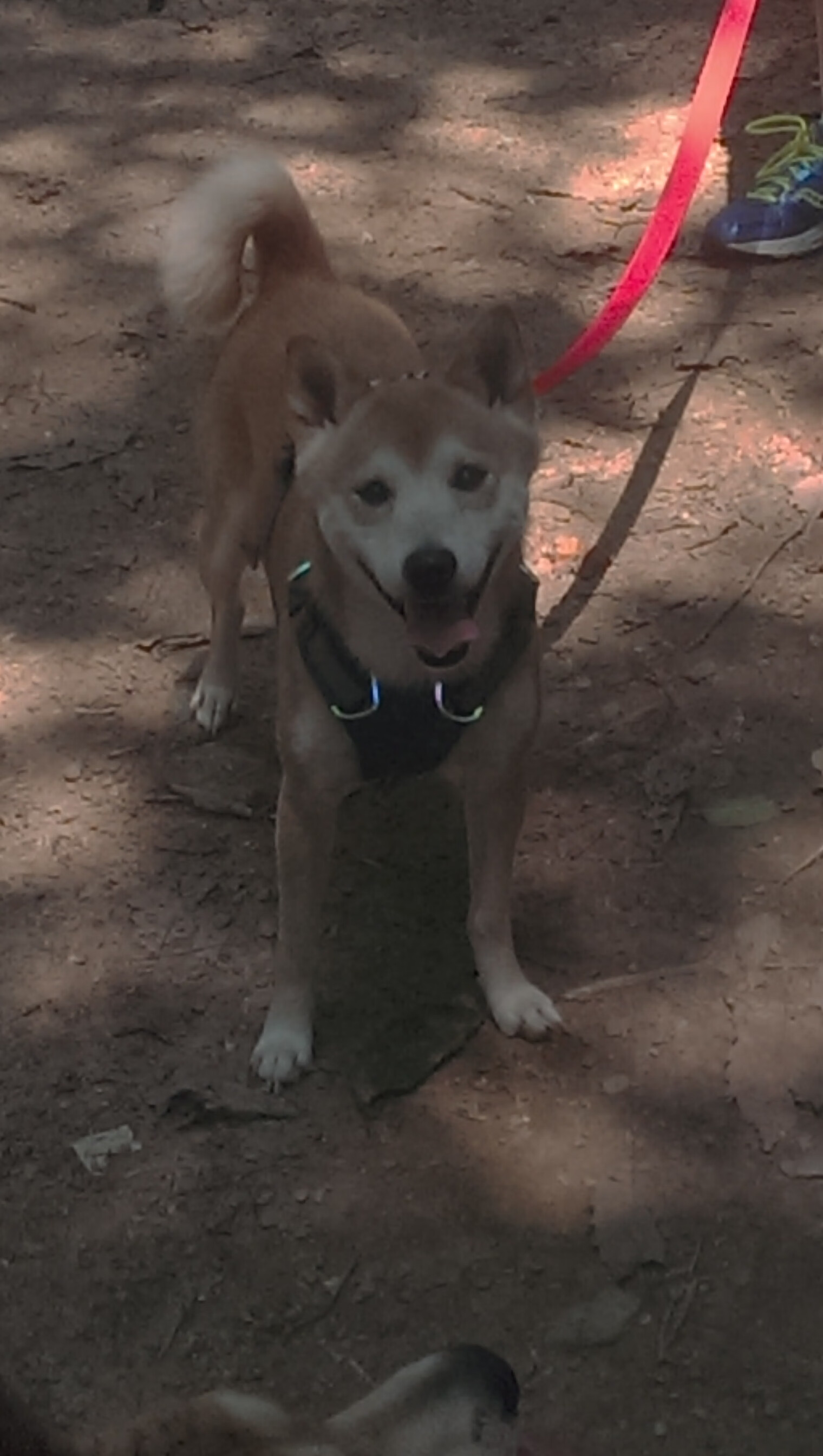 篮球公益项目拓展乡村篮球发展助力体育扶贫战略，农村篮球赛捐款倡议书