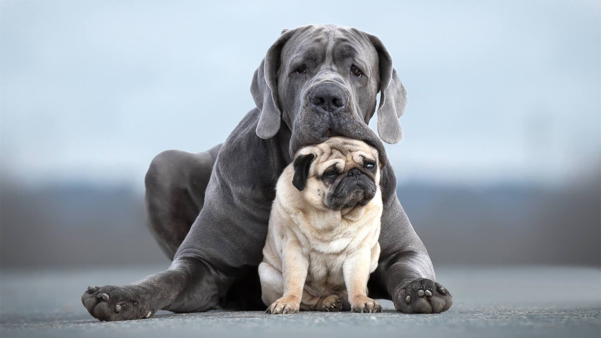 西甲联赛官方合作伙伴介绍,西甲联赛球队排名