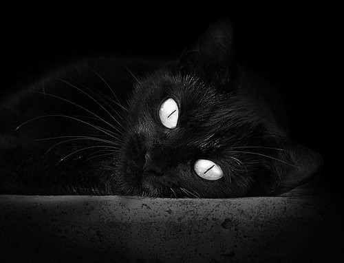 青训教练赴欧洲深造学习先进篮球理念促进中欧交流,欧洲篮球训练体系